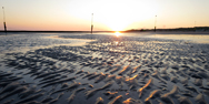Sonnenaufgang im Watt